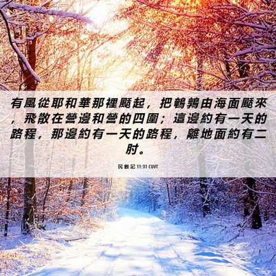 Picture 06 - 民 數 記 11:31 CUVT - 有 風 從 耶 和 華 那 裡 颳 起 ， 把 - Bible Verse Picture