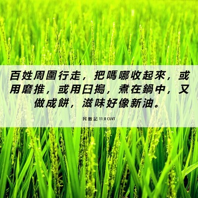 Picture 06 - 民 數 記 11:8 CUVT - 百 姓 周 圍 行 走 ， 把 嗎 哪 收 起 - Bible Verse Picture