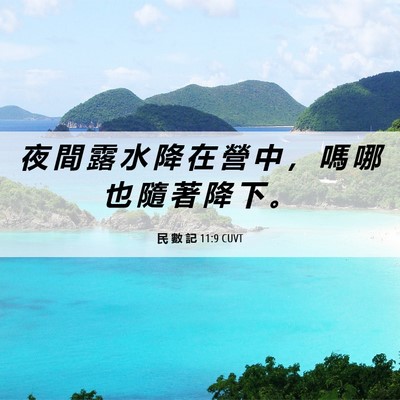 Picture 06 - 民 數 記 11:9 CUVT - 夜 間 露 水 降 在 營 中 ， 嗎 哪 也 - Bible Verse Picture