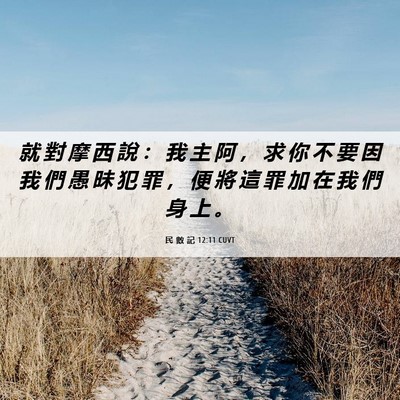 Picture 06 - 民 數 記 12:11 CUVT - 就 對 摩 西 說 ： 我 主 阿 ， 求 你 - Bible Verse Picture