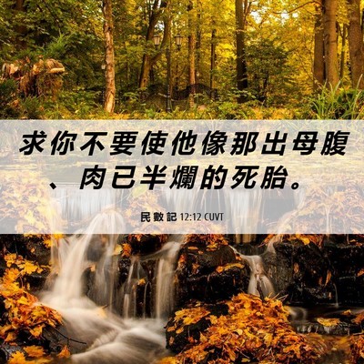 Picture 06 - 民 數 記 12:12 CUVT - 求 你 不 要 使 他 像 那 出 母 腹 、 - Bible Verse Picture