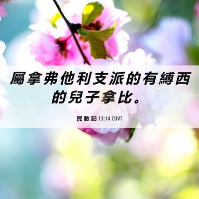 Picture 06 - 民 數 記 13:14 CUVT - 屬 拿 弗 他 利 支 派 的 有 縛 西 的 - Bible Verse Picture