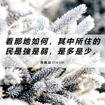 Picture 06 - 民 數 記 13:18 CUVT - 看 那 地 如 何 ， 其 中 所 住 的 民 - Bible Verse Picture