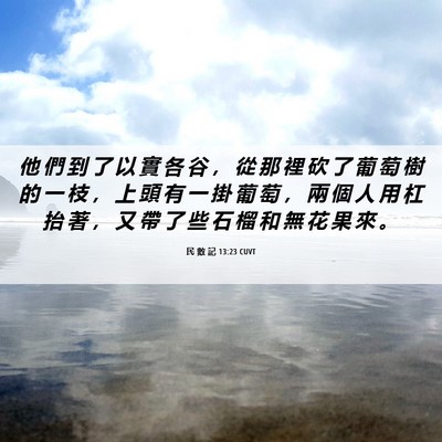 Picture 06 - 民 數 記 13:23 CUVT - 他 們 到 了 以 實 各 谷 ， 從 那 裡 - Bible Verse Picture