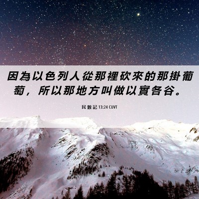 Picture 06 - 民 數 記 13:24 CUVT - 因 為 以 色 列 人 從 那 裡 砍 來 的 - Bible Verse Picture