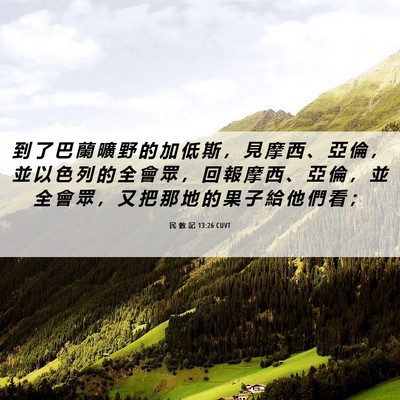 Picture 06 - 民 數 記 13:26 CUVT - 到 了 巴 蘭 曠 野 的 加 低 斯 ， 見 - Bible Verse Picture
