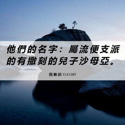 Picture 06 - 民 數 記 13:4 CUVT - 他 們 的 名 字 ： 屬 流 便 支 派 的 - Bible Verse Picture