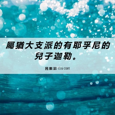 Picture 06 - 民 數 記 13:6 CUVT - 屬 猶 大 支 派 的 有 耶 孚 尼 的 兒 - Bible Verse Picture