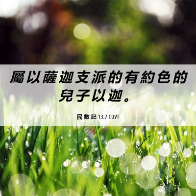 Picture 06 - 民 數 記 13:7 CUVT - 屬 以 薩 迦 支 派 的 有 約 色 的 兒 - Bible Verse Picture