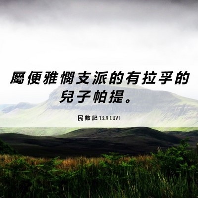 Picture 06 - 民 數 記 13:9 CUVT - 屬 便 雅 憫 支 派 的 有 拉 孚 的 兒 - Bible Verse Picture