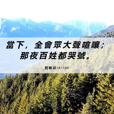 Picture 06 - 民 數 記 14:1 CUVT - 當 下 ， 全 會 眾 大 聲 喧 嚷 ； 那 - Bible Verse Picture