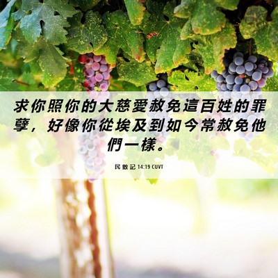 Picture 06 - 民 數 記 14:19 CUVT - 求 你 照 你 的 大 慈 愛 赦 免 這 百 - Bible Verse Picture