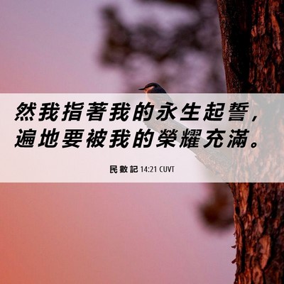 Picture 06 - 民 數 記 14:21 CUVT - 然 我 指 著 我 的 永 生 起 誓 ， 遍 - Bible Verse Picture