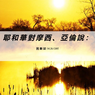 Picture 06 - 民 數 記 14:26 CUVT - 耶 和 華 對 摩 西 、 亞 倫 說 - Bible Verse Picture