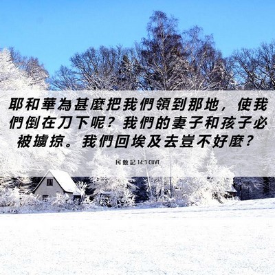 Picture 06 - 民 數 記 14:3 CUVT - 耶 和 華 為 甚 麼 把 我 們 領 到 那 - Bible Verse Picture
