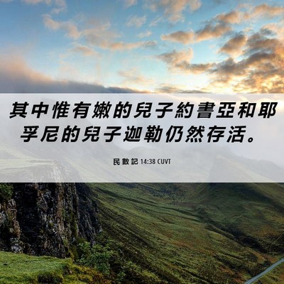 Picture 06 - 民 數 記 14:38 CUVT - 其 中 惟 有 嫩 的 兒 子 約 書 亞 和 - Bible Verse Picture