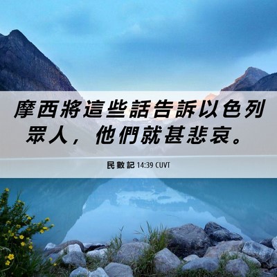 Picture 06 - 民 數 記 14:39 CUVT - 摩 西 將 這 些 話 告 訴 以 色 列 眾 - Bible Verse Picture