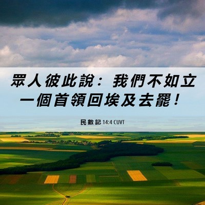 Picture 06 - 民 數 記 14:4 CUVT - 眾 人 彼 此 說 ： 我 們 不 如 立 一 - Bible Verse Picture