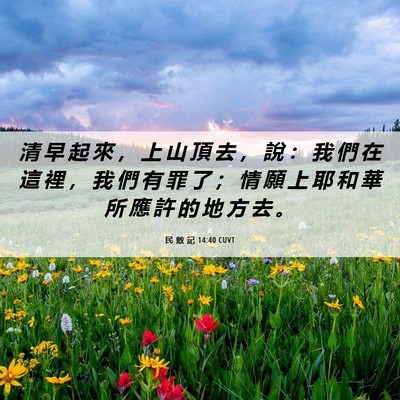Picture 06 - 民 數 記 14:40 CUVT - 清 早 起 來 ， 上 山 頂 去 ， 說 ： - Bible Verse Picture