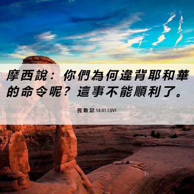 Picture 06 - 民 數 記 14:41 CUVT - 摩 西 說 ： 你 們 為 何 違 背 耶 和 - Bible Verse Picture