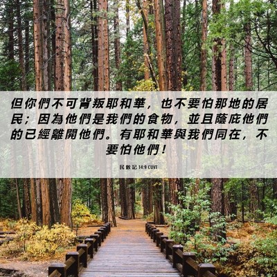 Picture 06 - 民 數 記 14:9 CUVT - 但 你 們 不 可 背 叛 耶 和 華 ， 也 - Bible Verse Picture