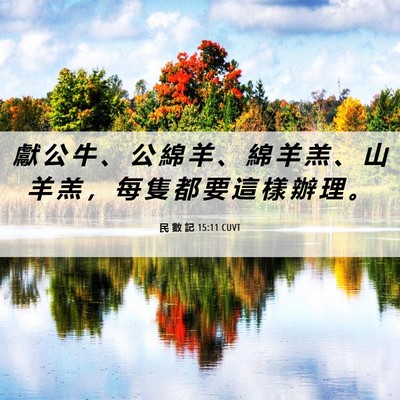 Picture 06 - 民 數 記 15:11 CUVT - 獻 公 牛 、 公 綿 羊 、 綿 羊 羔 、 - Bible Verse Picture