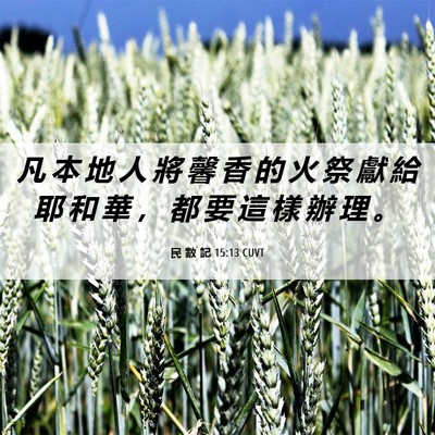 Picture 06 - 民 數 記 15:13 CUVT - 凡 本 地 人 將 馨 香 的 火 祭 獻 給 - Bible Verse Picture