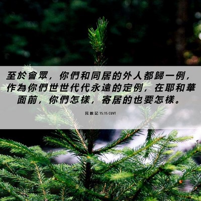 Picture 06 - 民 數 記 15:15 CUVT - 至 於 會 眾 ， 你 們 和 同 居 的 外 - Bible Verse Picture