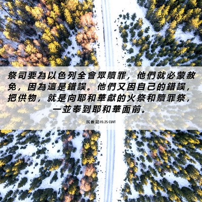 Picture 06 - 民 數 記 15:25 CUVT - 祭 司 要 為 以 色 列 全 會 眾 贖 罪 - Bible Verse Picture