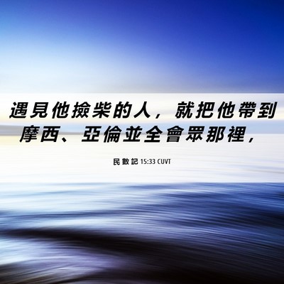 Picture 06 - 民 數 記 15:33 CUVT - 遇 見 他 撿 柴 的 人 ， 就 把 他 帶 - Bible Verse Picture