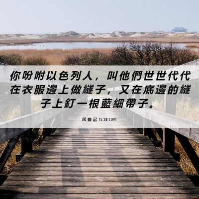 Picture 06 - 民 數 記 15:38 CUVT - 你 吩 咐 以 色 列 人 ， 叫 他 們 世 - Bible Verse Picture