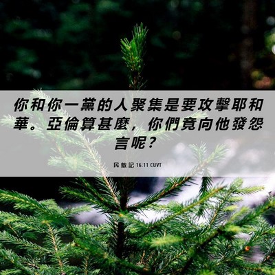 Picture 06 - 民 數 記 16:11 CUVT - 你 和 你 一 黨 的 人 聚 集 是 要 攻 - Bible Verse Picture