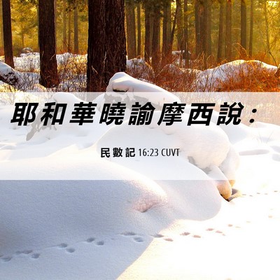 Picture 06 - 民 數 記 16:23 CUVT - 耶 和 華 曉 諭 摩 西 說 - Bible Verse Picture