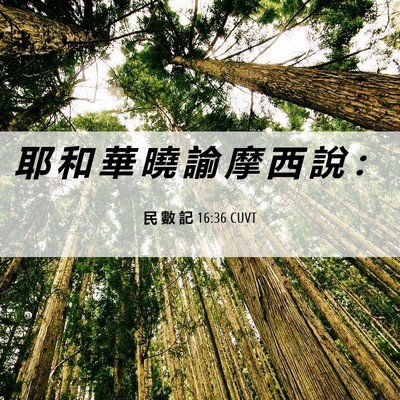 Picture 06 - 民 數 記 16:36 CUVT - 耶 和 華 曉 諭 摩 西 說 - Bible Verse Picture