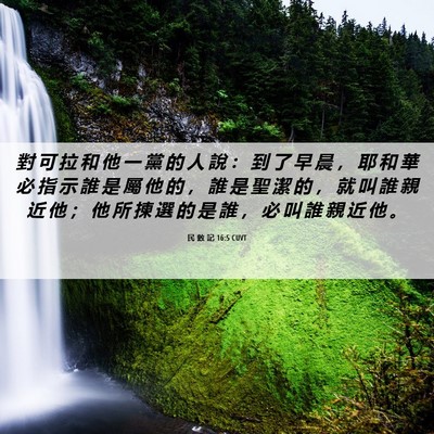 Picture 06 - 民 數 記 16:5 CUVT - 對 可 拉 和 他 一 黨 的 人 說 ： 到 - Bible Verse Picture
