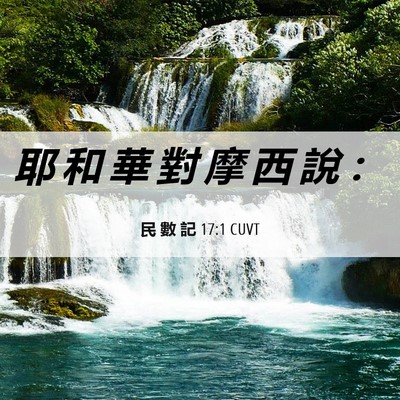 Picture 06 - 民 數 記 17:1 CUVT - 耶 和 華 對 摩 西 說 - Bible Verse Picture