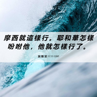 Picture 06 - 民 數 記 17:11 CUVT - 摩 西 就 這 樣 行 。 耶 和 華 怎 樣 - Bible Verse Picture
