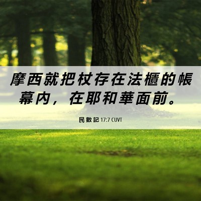 Picture 06 - 民 數 記 17:7 CUVT - 摩 西 就 把 杖 存 在 法 櫃 的 帳 幕 - Bible Verse Picture