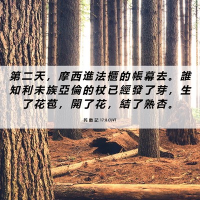 Picture 06 - 民 數 記 17:8 CUVT - 第 二 天 ， 摩 西 進 法 櫃 的 帳 幕 - Bible Verse Picture
