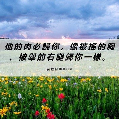 Picture 06 - 民 數 記 18:18 CUVT - 他 的 肉 必 歸 你 ， 像 被 搖 的 胸 - Bible Verse Picture