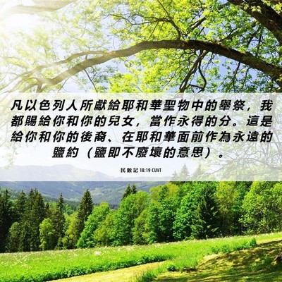 Picture 06 - 民 數 記 18:19 CUVT - 凡 以 色 列 人 所 獻 給 耶 和 華 聖 - Bible Verse Picture