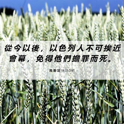Picture 06 - 民 數 記 18:22 CUVT - 從 今 以 後 ， 以 色 列 人 不 可 挨 - Bible Verse Picture