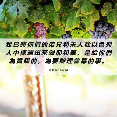 Picture 06 - 民 數 記 18:6 CUVT - 我 已 將 你 們 的 弟 兄 利 未 人 從 - Bible Verse Picture