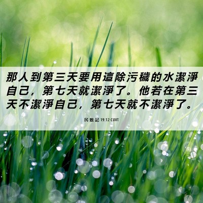 Picture 06 - 民 數 記 19:12 CUVT - 那 人 到 第 三 天 要 用 這 除 污 穢 - Bible Verse Picture