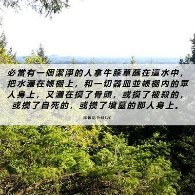Picture 06 - 民 數 記 19:18 CUVT - 必 當 有 一 個 潔 淨 的 人 拿 牛 膝 - Bible Verse Picture