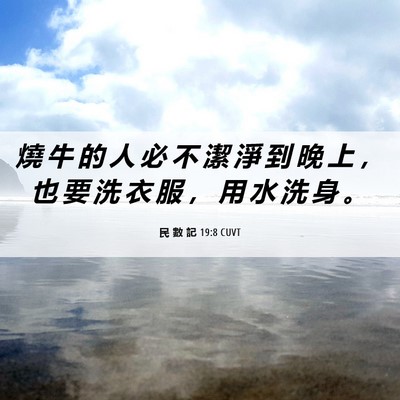 Picture 06 - 民 數 記 19:8 CUVT - 燒 牛 的 人 必 不 潔 淨 到 晚 上 ， - Bible Verse Picture