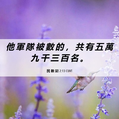 Picture 06 - 民 數 記 2:13 CUVT - 他 軍 隊 被 數 的 ， 共 有 五 萬 九 - Bible Verse Picture