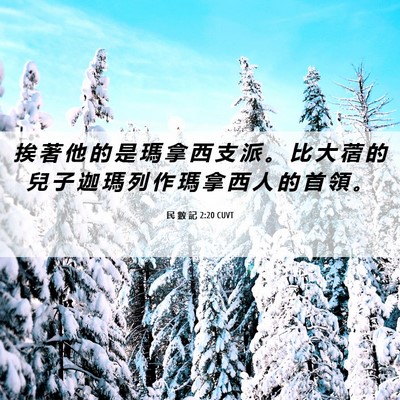 Picture 06 - 民 數 記 2:20 CUVT - 挨 著 他 的 是 瑪 拿 西 支 派 。 比 - Bible Verse Picture