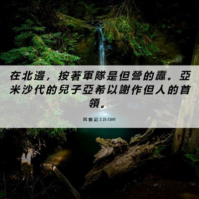 Picture 06 - 民 數 記 2:25 CUVT - 在 北 邊 ， 按 著 軍 隊 是 但 營 的 - Bible Verse Picture