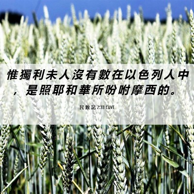 Picture 06 - 民 數 記 2:33 CUVT - 惟 獨 利 未 人 沒 有 數 在 以 色 列 - Bible Verse Picture